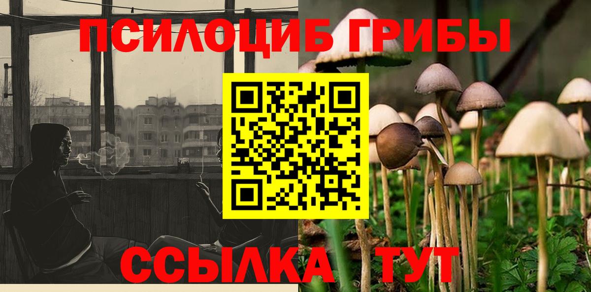Псилоцибиновые грибы Psilocybine cubensis Можайск