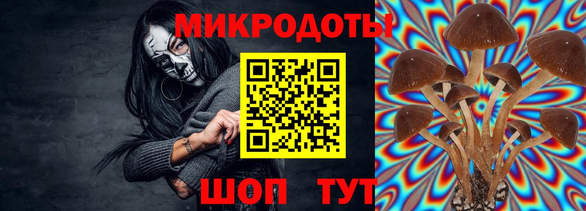 наркотики  Вход с VPN  Можайск  Галлюциногенные грибы Magic Shrooms 